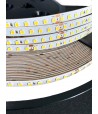 Taśma LED SMD2835 neutralna 4000K 6W 24V 144 LED/m IP20 - 1 metr