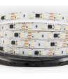Taśma LED cyfrowa RGBW+neutralny 4000K 14,4W 12V TM1814 60 LED/m CRI90 - 10 metrów