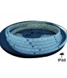 Taśma LED Cyfrowa TM1814 RGBW+neutralny 4000K 14,4W 24V 60 LED/m IP68 wodoodporna - 10 metrów