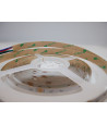 Taśma LED COB RGBW+neutralny 16W 24V 896 LED/m CRI90 - 5 metrów