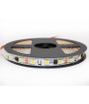 Taśma LED cyfrowa neutralna 4000K 12V WS2811 60 LED/m - 10 metrów