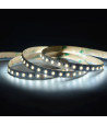 Taśma LED CCT Multiwhite 2700K-6500K SMD2835 12W 24V 120 LED/m - 30 metrów