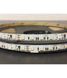 Taśma LED cyfrowa RGBW+neutralny 4000K 14,4W 24V Ws2814F 84 LED/m CRI90-1 metr