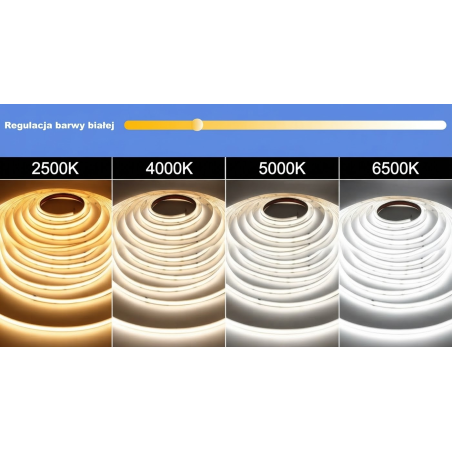 Taśma LED COB CCT 2500-6500K 16W 24V 640 LED/m CRI90 IP68 WODOODPORNA - 1 metr
