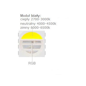 10m Zestaw Taśma LED 4w1 RGBW 60d/m SMD5050 19,2W/m 24V