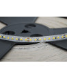 Taśma LED SMD2835 neutralna 4000K 12,8W 24V 128 LED/m-1metr