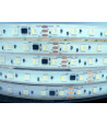 Taśma LED Cyfrowa TM1814 RGBW+neutralny 4000K 14,4W 24V 60 LED/m IP68 wodoodporna-1metr