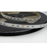Taśma LED SMD5050 RGBW+neutralny 4000K 19,2W 24V 60 LED/m CRI90-1metr