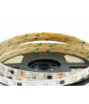Taśma LED cyfrowa RGB 14,4W 12V WS2811 60 LED/m - 1 metr