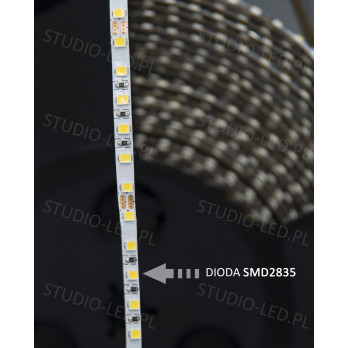 Taśma LED SMD2835 zimna 6000K 9,6W 24V 120 LED/m slim 5mm  - 1 metr