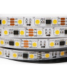 Taśma LED cyfrowa neutralna 4000K 12V WS2811 60 LED/m - 1 metr