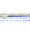 Taśma LED SMD2835 zimna 6000K 14W 24V 120 LED/m CRI90 - 1 metr